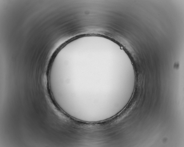 X0000102370936200808011020