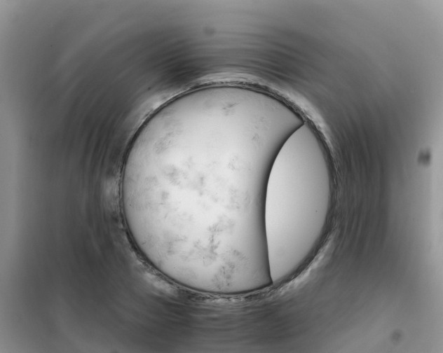 X0000102370937200808011020
