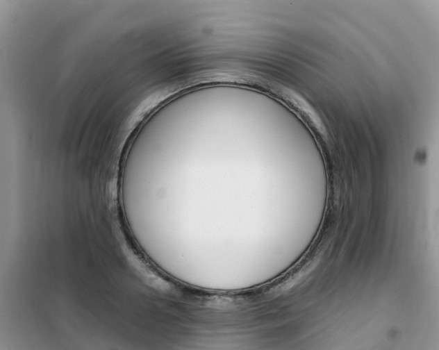 X0000102370938200808011020