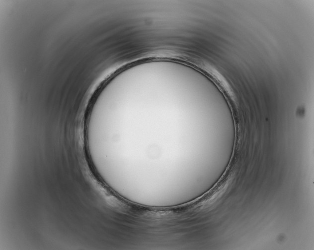 X0000102370939200808011020