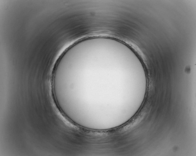X0000102370941200808011020