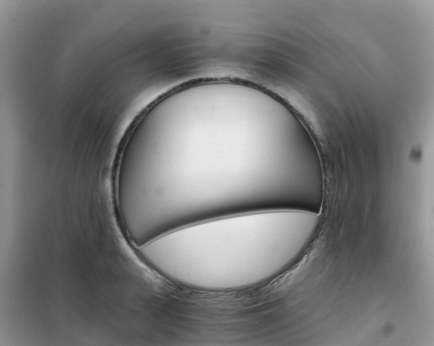 X0000102370943200808011020