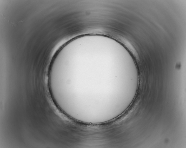 X0000102370944200808011020