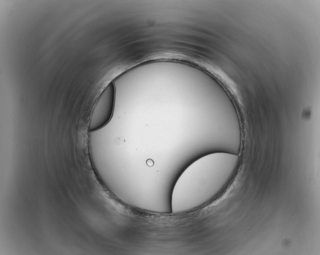X0000102370945200808011020