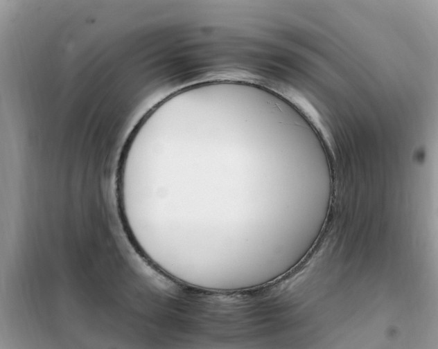 X0000102370947200808011020