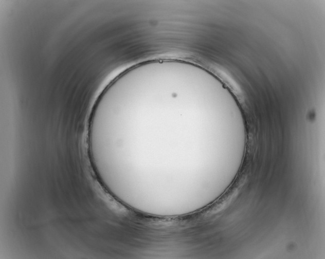 X0000102370948200808011020