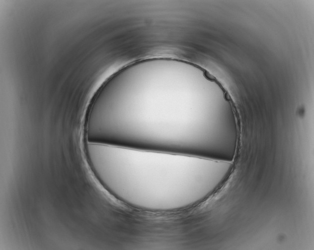 X0000102370949200808011020