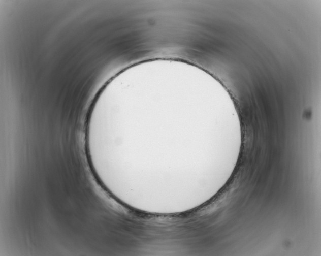 X0000102370950200808011020