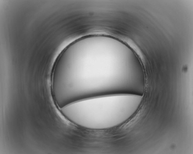 X0000102370951200808011020