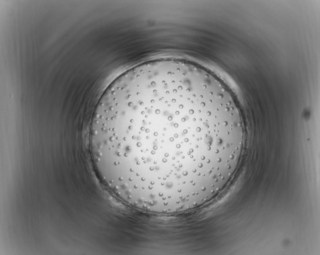 X0000102370953200808011021