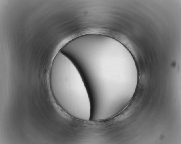 X0000102370954200808011021