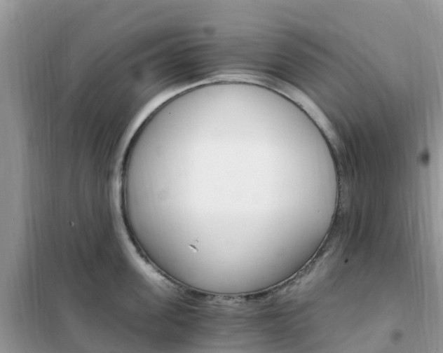 X0000102370955200808011021
