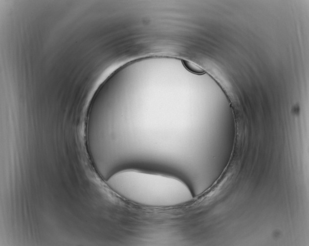 X0000102370956200808011021