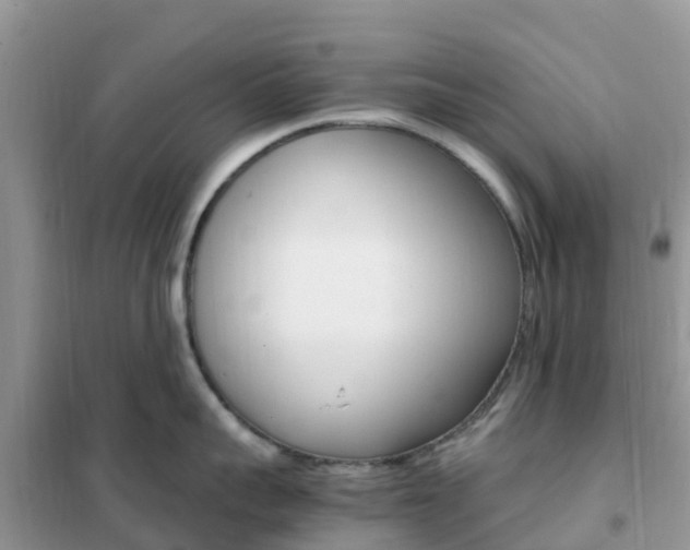 X0000102370959200808011021