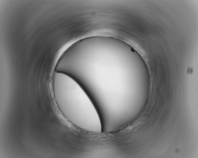 X0000102370960200808011021