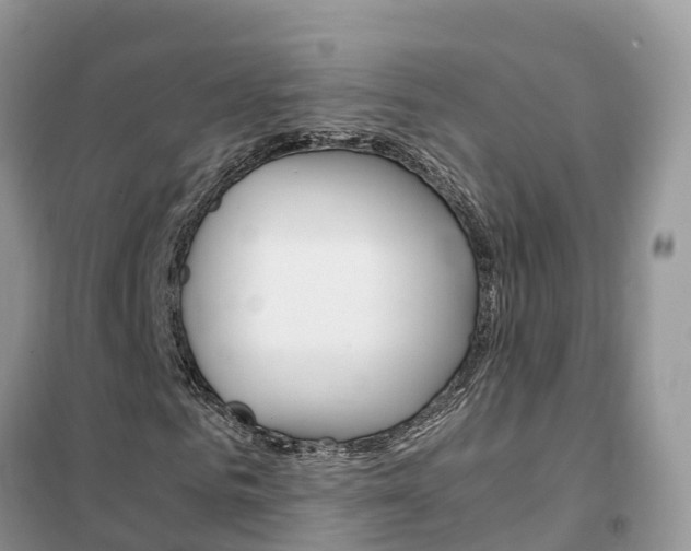 X0000102370961200808011020