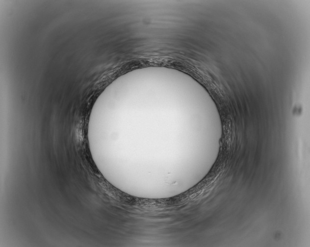 X0000102370962200808011020