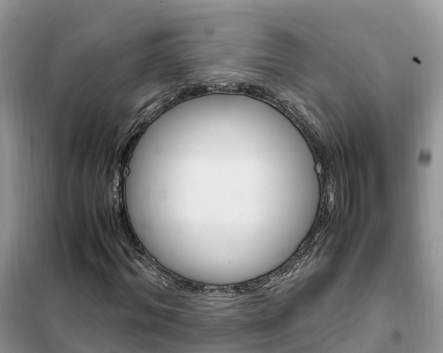 X0000102370964200808011020