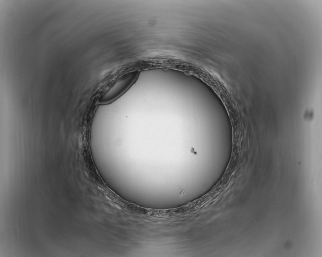 X0000102370965200808011020
