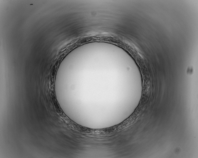 X0000102370966200808011020