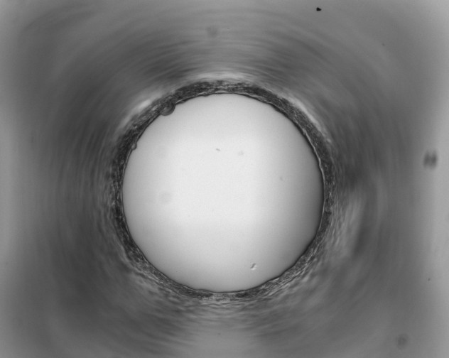 X0000102370967200808011020