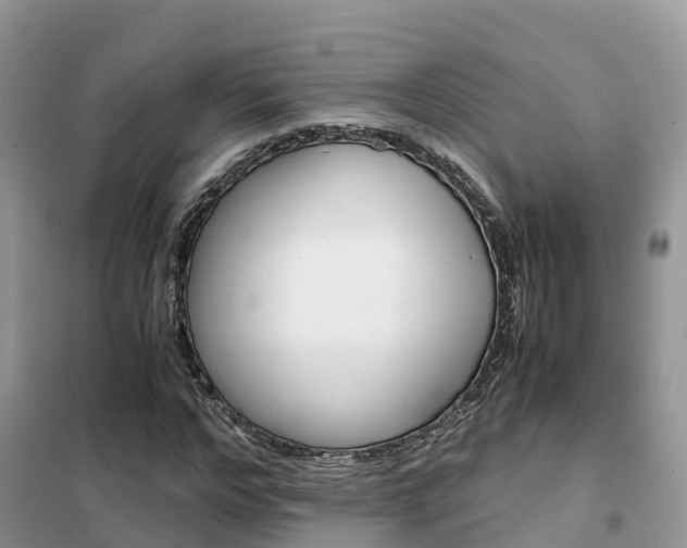 X0000102370968200808011020