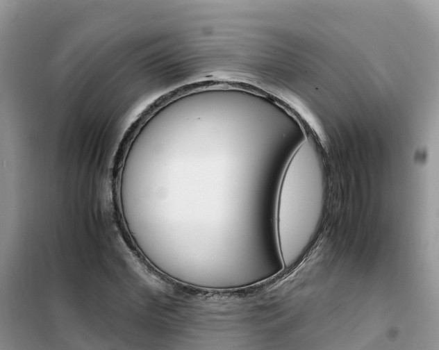 X0000102370972200808011020