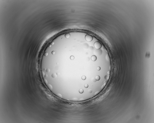 X0000102370974200808011020