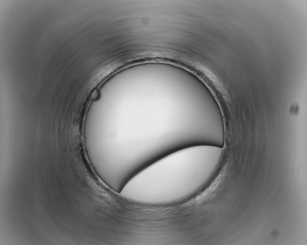 X0000102370977200808011020