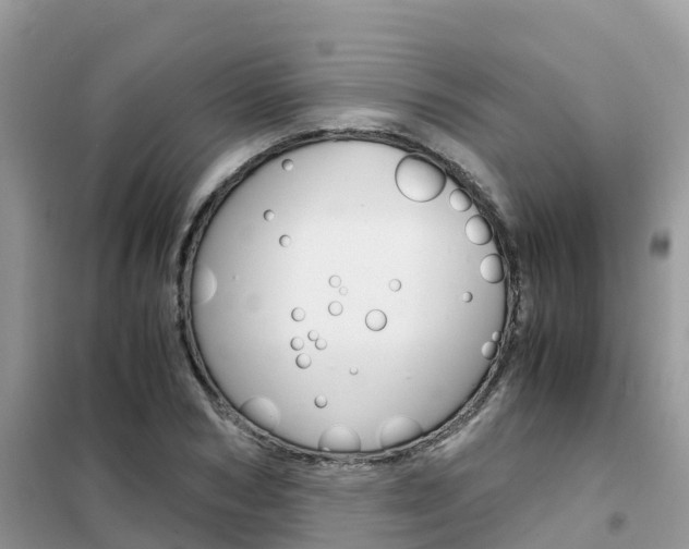 X0000102370978200808011020