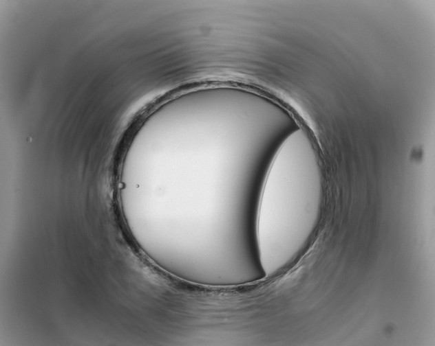 X0000102370979200808011020