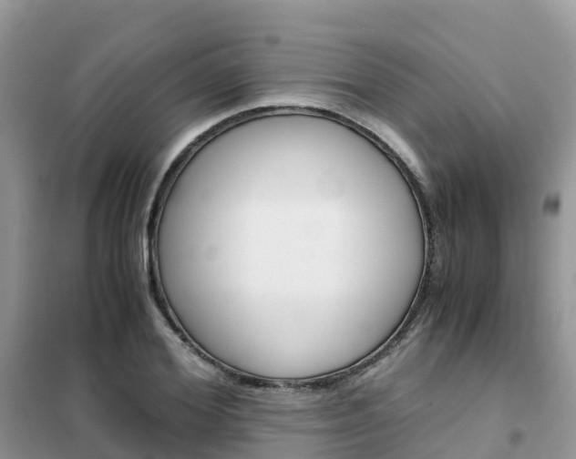 X0000102370980200808011020