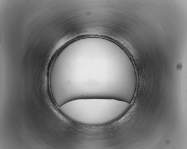 X0000102370982200808011020