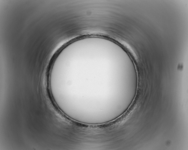 X0000102370983200808011020
