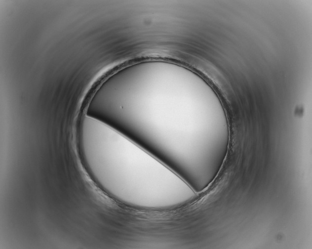 X0000102370984200808011020