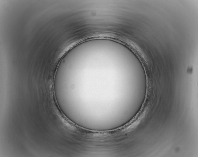 X0000102370985200808011020
