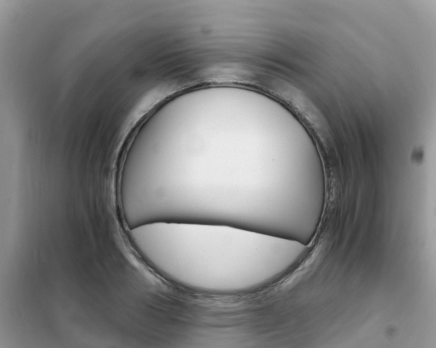 X0000102370986200808011020