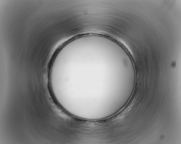 X0000102370987200808011020