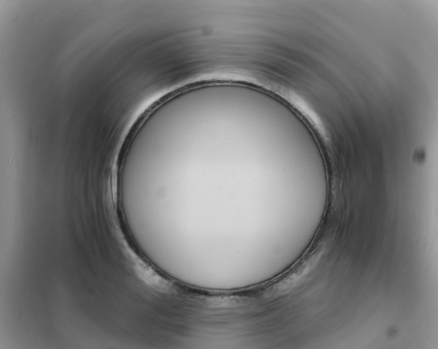 X0000102370988200808011020