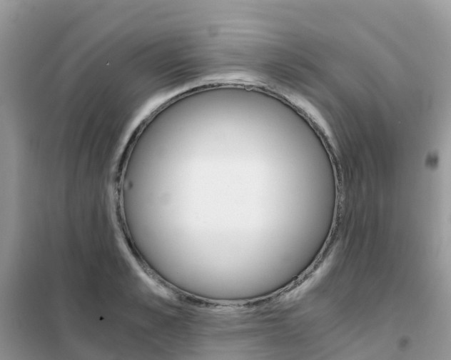 X0000102370989200808011020