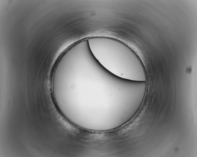 X0000102370990200808011020