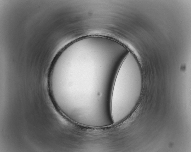 X0000102370991200808011020