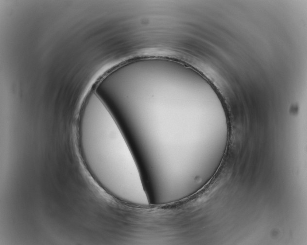 X0000102370992200808011020