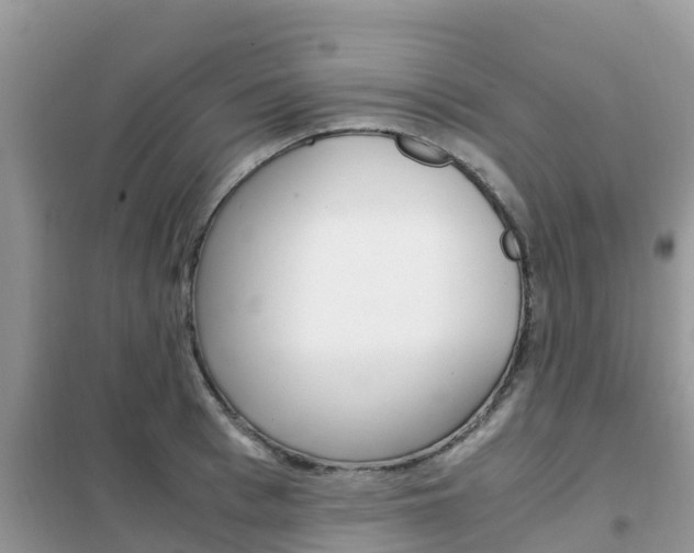 X0000102370993200808011020