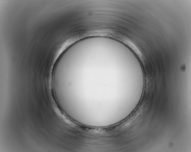 X0000102370994200808011019