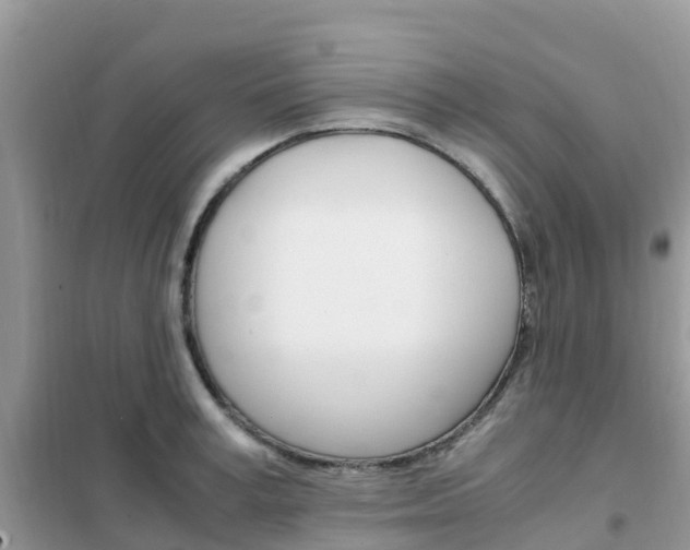 X0000102370995200808011019