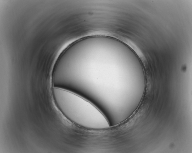 X0000102370996200808011019