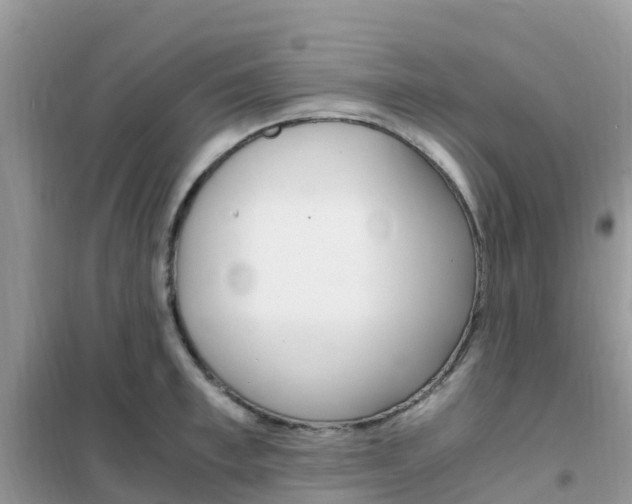 X0000102370997200808011019