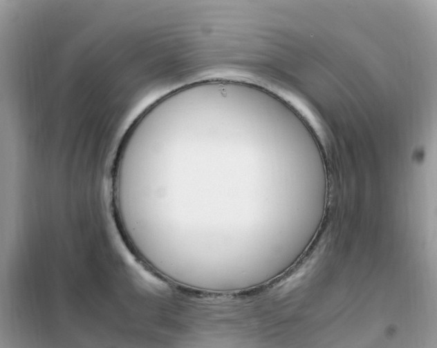 X0000102370999200808011019