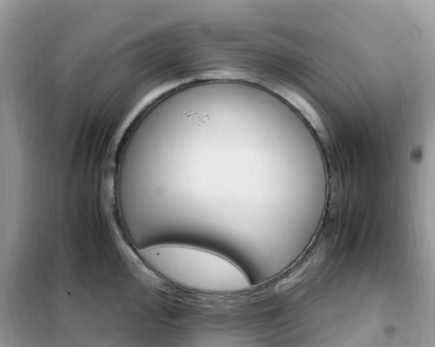 X0000102371000200808011019